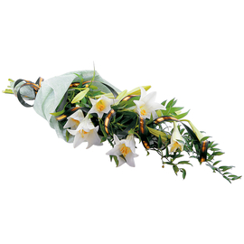 Zanbaq / Başsağlığı buketi